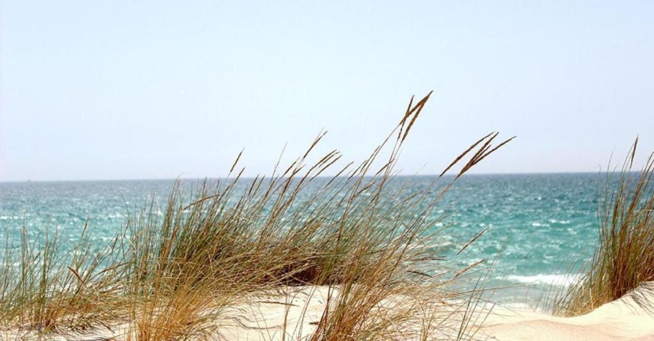 Mhvacances Louent Plusieurs Mobilhomes Dans Camping 4 Etoiles A 200M De La Plage Et Cure Thermale Canet-en-Roussillon Esterno foto