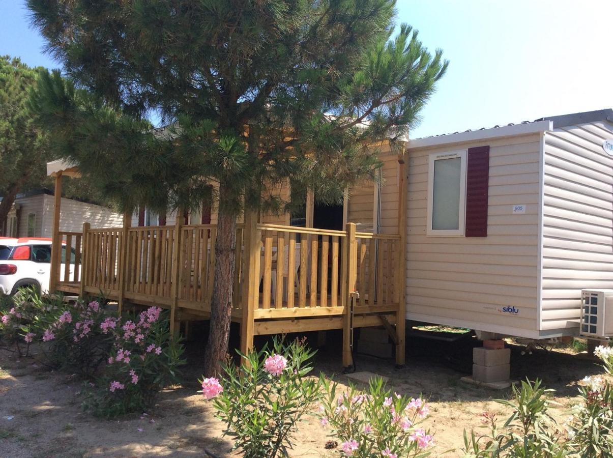 Mhvacances Louent Plusieurs Mobilhomes Dans Camping 4 Etoiles A 200M De La Plage Et Cure Thermale Canet-en-Roussillon Esterno foto